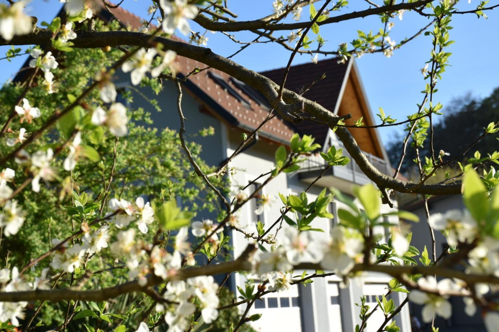 Ferienhaus Am Hof Zotter Riegersburg Exterior photo
